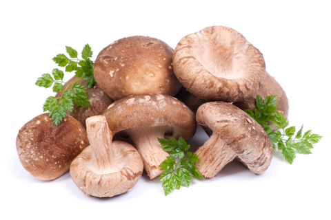 mushrooms-2-dreamstime-xs-31013646.jpg