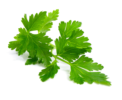 parsley-dreamstime-xs-4347182.jpg