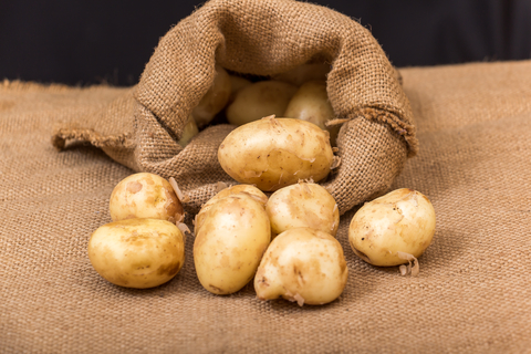 potatoes-dreamstime-xs-54991385.jpg