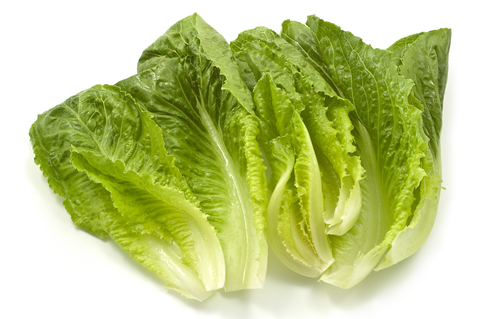 romaine-lettucedreamstime-xs-15594426.jpg