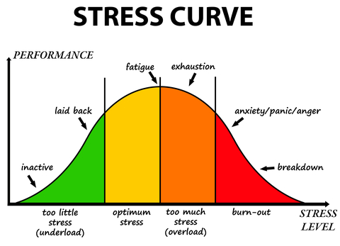 stress-curve-dreamstime-xs-19168698.jpg