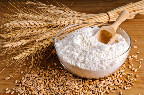 wheat-grain-flour-dreamstime-xs-22804776.jpg