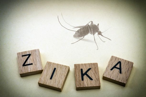 zika-mosquitodreamstime-xl-66529689-thumbnail-resize.jpg