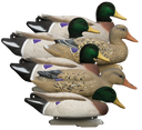 Higdon Outdoors 16034 Battleship  Oversized Mallards Species Multi Color Foam Filled Features Flocked Heads 6 Pack 153317