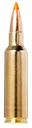 Norma Ammunition 20174022  Tipstrike 300WSM 170gr 20 Per Box/10 Case 164623