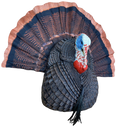 Bone Collector BC150008 Tom Decoy Quarter Body Turkey Species Multi-Color 162852