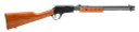 Rossi GALLERY 22WMR BL/WD 20" 12+1 BTRP22W201WD