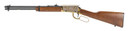 dROSSI RIO BRAVO DOC HOLIDAY 22LR RIFLE 18" BLK/GOLD PVD ENGRAVED, WOOD 15RD BRAZROSSRL22181WDGDH