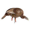 AVIAN-X HDR FEEDING HEN TKY DECOY AVX 8107
