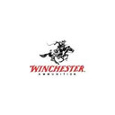 WINCHESTER AMMO 22 HORNET 46GR H SX HOLLOWPT 250210021