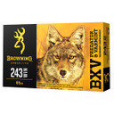 243 WINCHESTER 65GR BXV POLYMER TIPPED 20/BOX 250018649