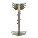 Tethrd One Climbing Stick Gen 3 3/ct THCLIMBONE31