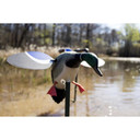 Mojo Baby Ballard Spinning Wing Decoy Drake JUHW4401