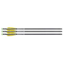 TenPoint EVO-X CenterPunch Lighted Alpha-Blaze Carbon Arrows 20" 3 Pack TPHEA7493