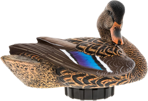 Avian X AVX-PSH-MHPR Power Shaker Motion Decoy Mallard Hen Multi-Color 180036 Avian X AVX-PSH-MHPR Power Shaker Motion Decoy Mallard Hen Multi-Color 180036