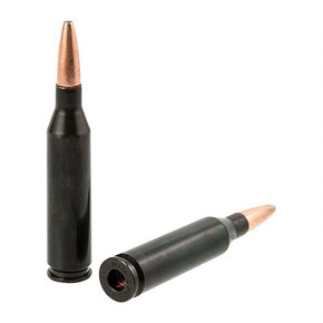 TRADITIONS RIFLE TRAINING CARTRIDGE 243 WINCHESTER (2 CT) 250001947