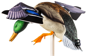 Avian X AVXAVXDP101 PowerFlight  Mallard Spinning Wing Duck Decoy Multi-Color Dual Mode Remote 158286