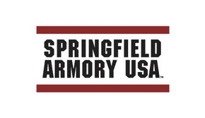Springfield Armory ECHELON 9MM BLK 4" 15+1 NS GU SFEC9409B3D15G5