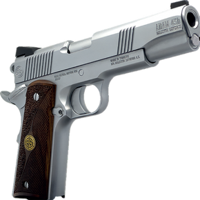 DKSN DCKSN45B   ADAM 1911 45B 5 IN  WHITE WD 184086