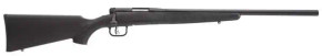 SAVAGE BMAG 17WSM RFL BLK SYN STK SAVA96975 SAVAGE BMAG 17WSM RFL BLK SYN STK SAVA96975