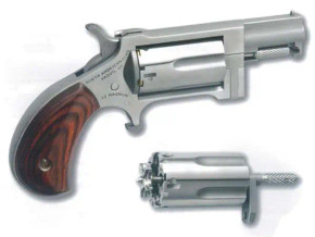 NAA SIDEWINDER MINI-RVLVR 22LR/M SS NORTNAASWC NAA SIDEWINDER MINI-RVLVR 22LR/M SS NORTNAASWC