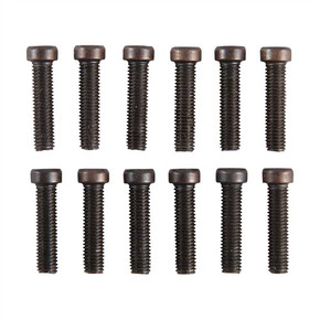 T-10 FILLISTER HEAD SCREW 6-48 X 9/16” 12 PACK 080924689