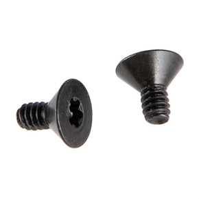 RMR COVER PLATE SCREWS FOR BRN GLOCK SLIDE 1/4''X4-40, 2 PACK 078000439