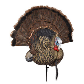 AVIAN-X TROPHY TOM TKY AVX 8021