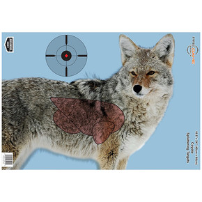 BC PREGAME COYOTE 16.5X24 TGT 3/PK BC 35405 BC PREGAME COYOTE 16.5X24 TGT 3/PK BC 35405