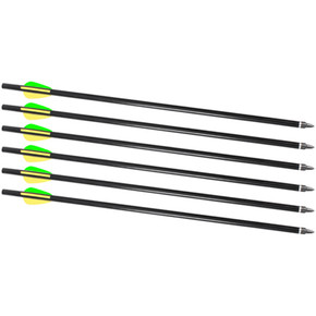 TRAD XBR CRACKSHOT 16 ARROWS 6PK TRAD A2217 TRAD XBR CRACKSHOT 16 ARROWS 6PK TRAD A2217