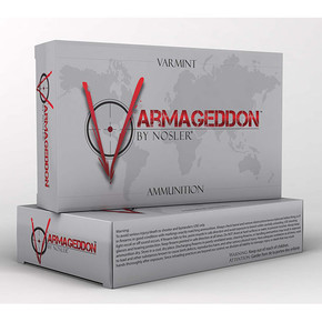 NOS AMMO 243WIN 55GR VGN FBSP 20/10 NOS 65165 NOS AMMO 243WIN 55GR VGN FBSP 20/10 NOS 65165