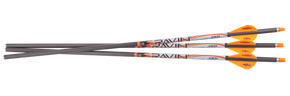 RAVIN R339  RAVIN ARROWS 400GR. 3 PK .001 190675