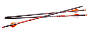 RAVIN R338  RAVIN ARROWS 400GR. 3 PK .003 190674