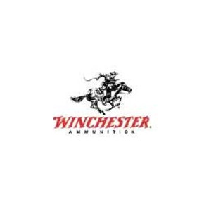 WINCHESTER AMMO 22 HORNET 46GR H SX HOLLOWPT 250210021