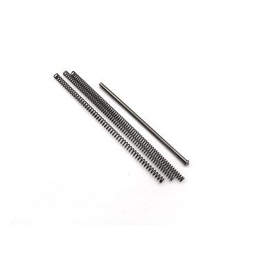 GUIDE ROD AND SPRING KIT FOR RUGER 10/22 LR 430109375