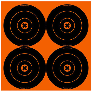 BC BIG BURST 6 TARGET 12/PKG BC 36612