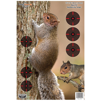 BC PREGAME SQUIRREL TGT 12X18 8PK BC 35406
