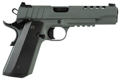 Tisas 10100512 1911 Night Stalker Full Size 45 ACP 8+1 5" Black Steel Ramped Barrel, Platinum Grey Cerakote Ported/Serrated Slide & Frame w/Picatinny Rail & Beavertail, Ambidextrous 152728