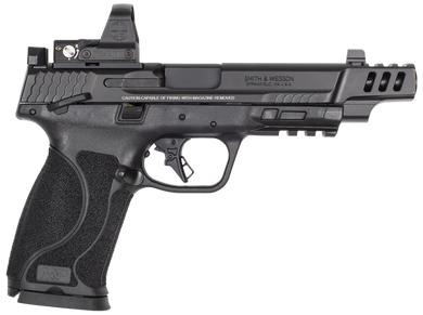 Smith & Wesson 14374 M&P M2.0  Full Size Frame 10mm Auto 15+1 5.60" Black Polymer Grip w/Leupold Deltapoint Pro 169333