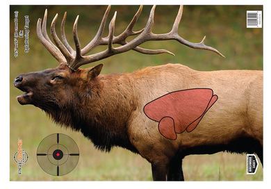 Birchwood Casey 35404 Pregame  Elk Paper Target 16.50" x 24" 3 Per Pkg 136571