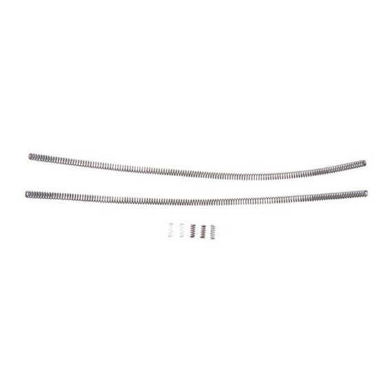 22 ARC SPRING KIT 100014677
