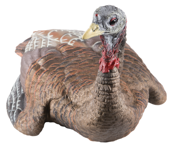 Avian X AVXAVX8011 LCD Laydown Hen Turkey Species Multi Color Dura-Rubber 145395