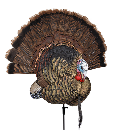 Avian X AVXAVX8021 Trophy Tom  Turkey Species Multi-Color *No Fan 145397