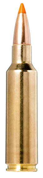 Norma Ammunition 20174022  Tipstrike 300WSM 170gr 20 Per Box/10 Case 164623