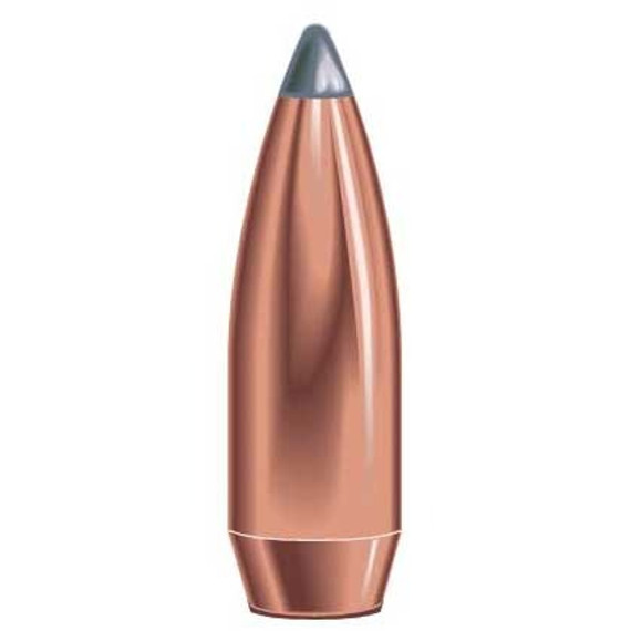 375 CALIBER (0.375'') 270GR SOFT POINT 50/BOX 100010382