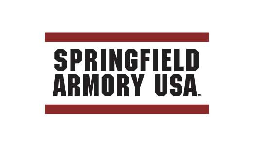 Springfield Armory ECHELON 9MM BLK 4" 10+1 NS GU SFEC9409BLC3DG5