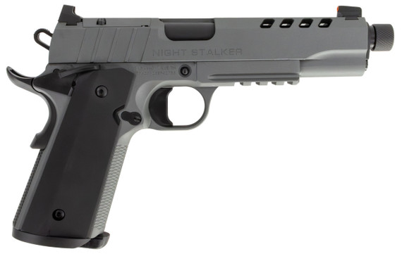 TISAS 1911 NIGHT STALKER SF 45ACP 5 TB GREY 2 8R SDS 10100556