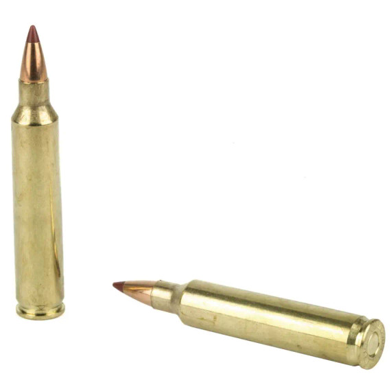 HORNADY 204 RUGER 24 GR NTX® SPF 20RD/BX 10BX/CS O17_HORN83209 HORNADY 204 RUGER 24 GR NTX® SPF 20RD/BX 10BX/CS O17_HORN83209