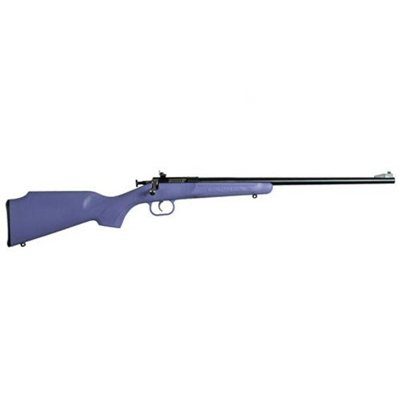 Crickett Purple Synthetic Single Shot .22 LR Blued Barrel KPKSA2306