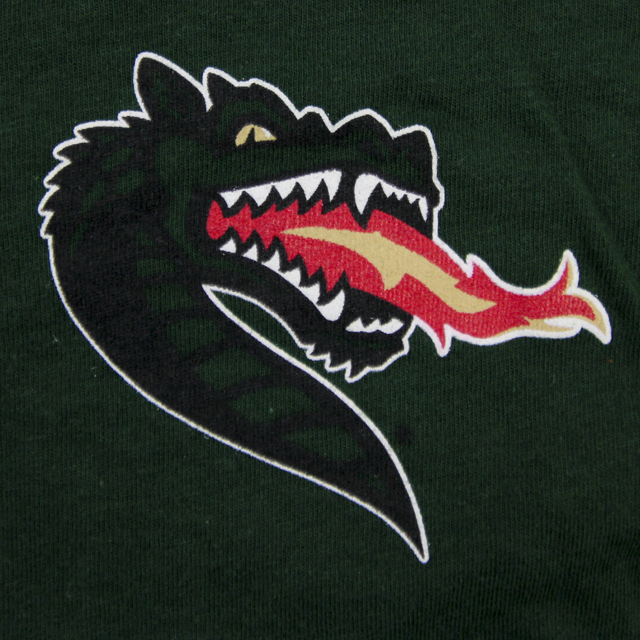 UAB Blazers